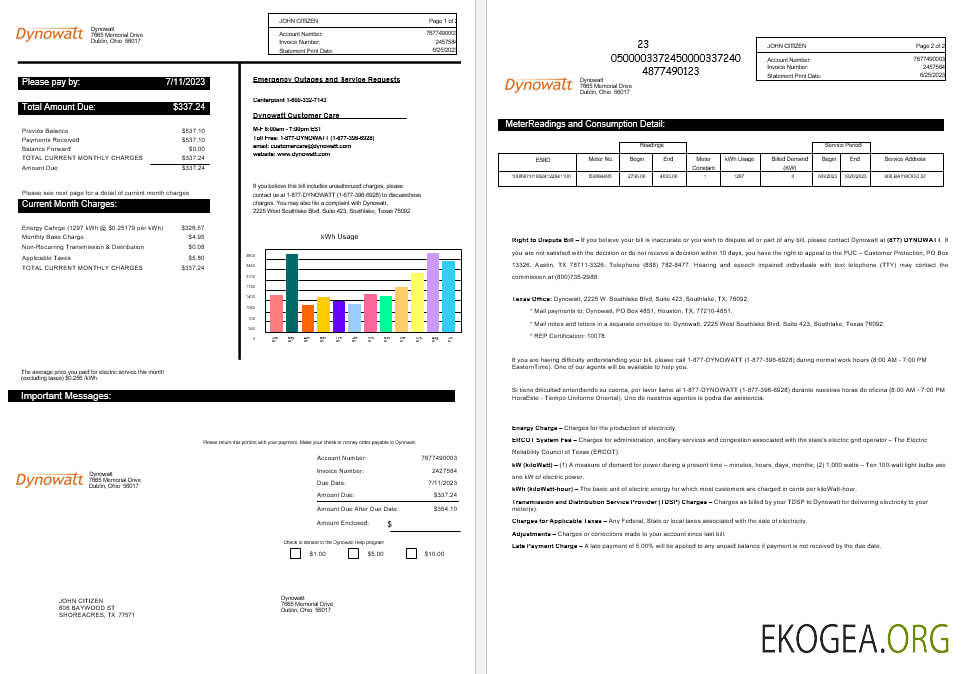New York  Dynowatt electricity utility bill Word and PDF formats